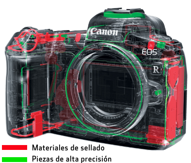 Canon EOS R Cuerpo – Viewhaus