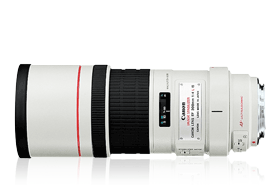 EF 300mm f/4L IS USM
