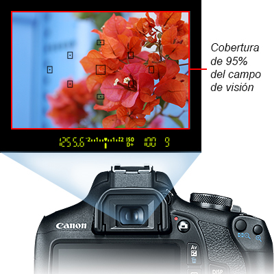 Cámara Fotográfica Digital Canon Eos Rebel T7, 24.1 MP, Pantalla LCD de 3,  Video 1920 x 1080 (Full HD), Lente 18-55mm, NFC, WiFi. Incluye Curso  fotográfico Online y Memoria SD.